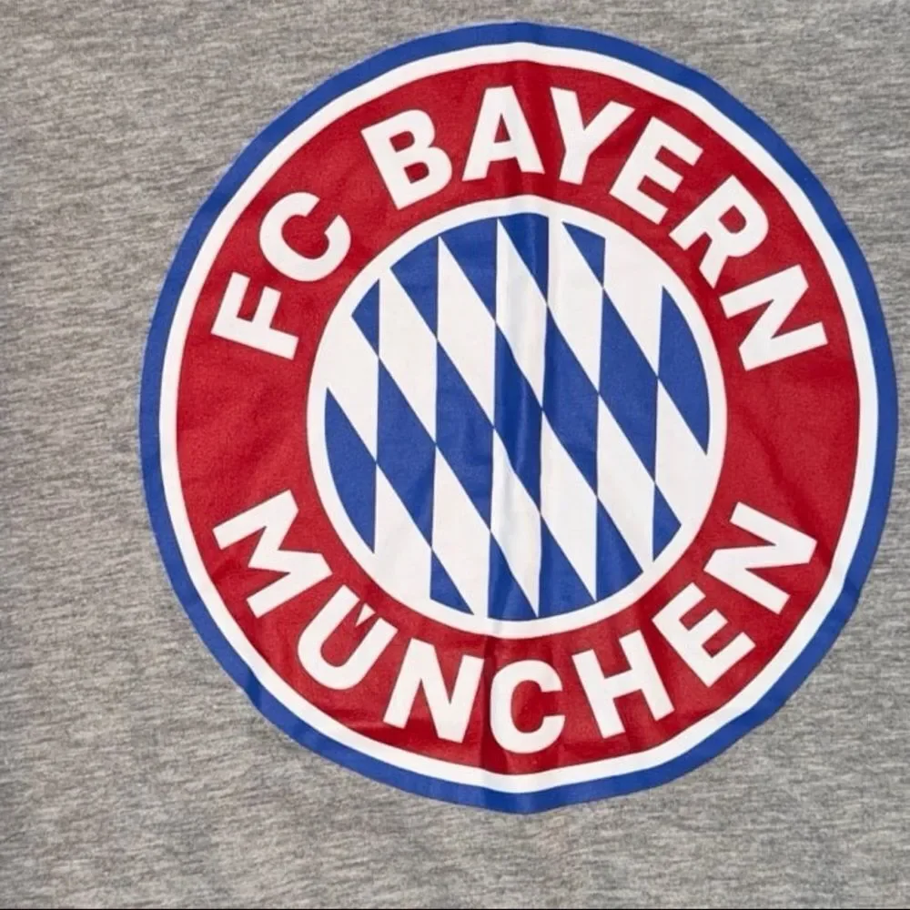 Adidas FC Bayern Munchen T-Shirt